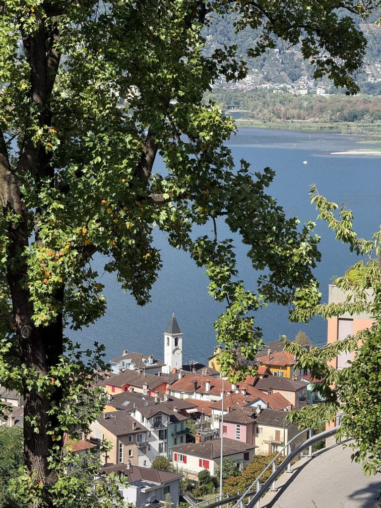 Blick auf Vira Gambarogno und den Lago Maggiore